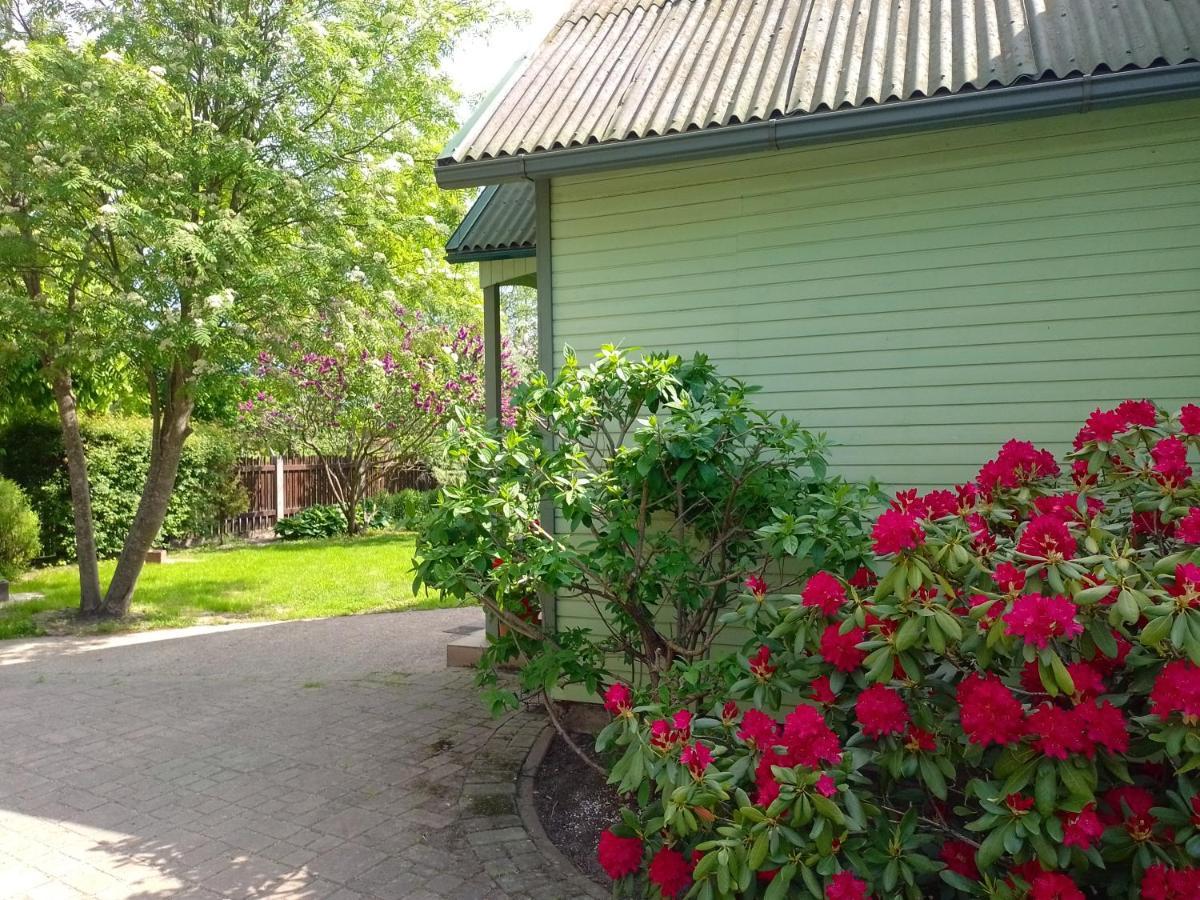 House, Garden & Sauna. Free Parking. Train Stop-200 M. Sea-1 Km. Jūrkalne Екстериор снимка