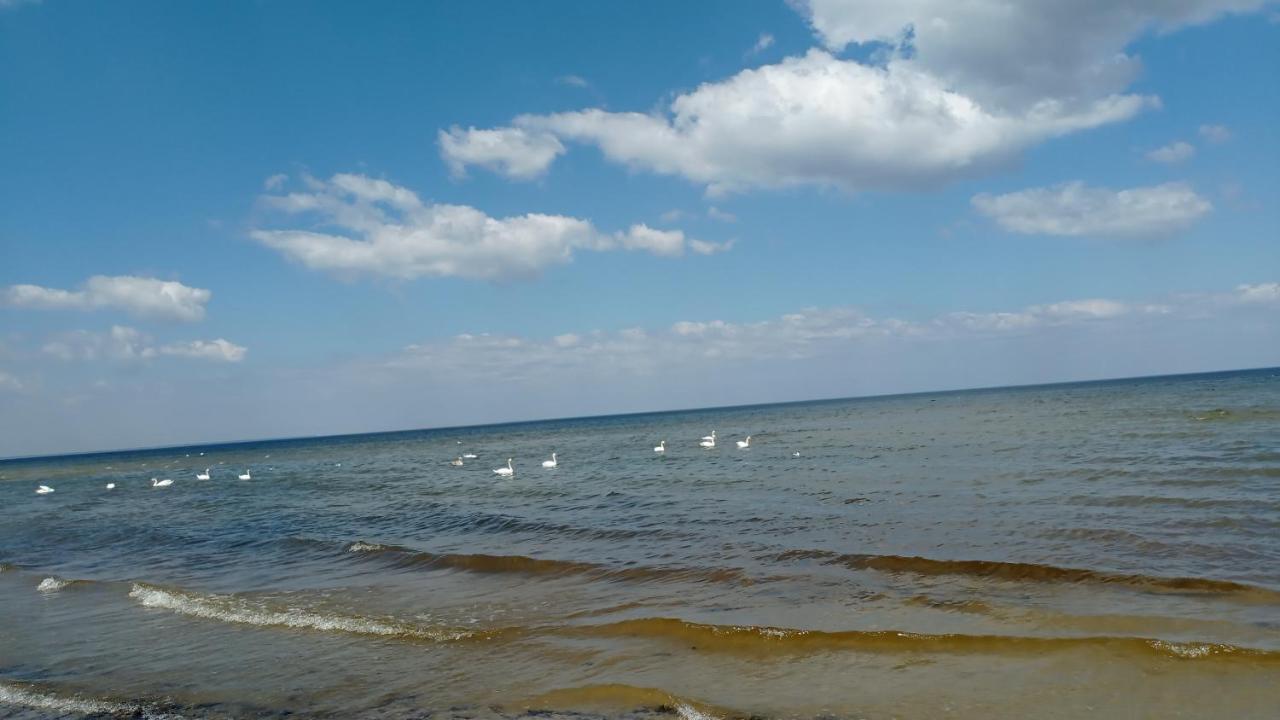 House, Garden & Sauna. Free Parking. Train Stop-200 M. Sea-1 Km. Jūrkalne Екстериор снимка