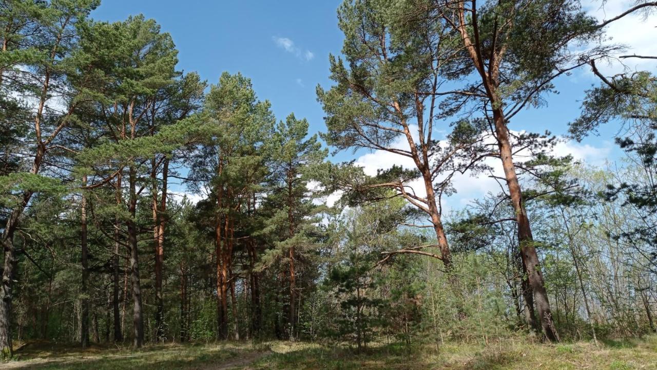 House, Garden & Sauna. Free Parking. Train Stop-200 M. Sea-1 Km. Jūrkalne Екстериор снимка